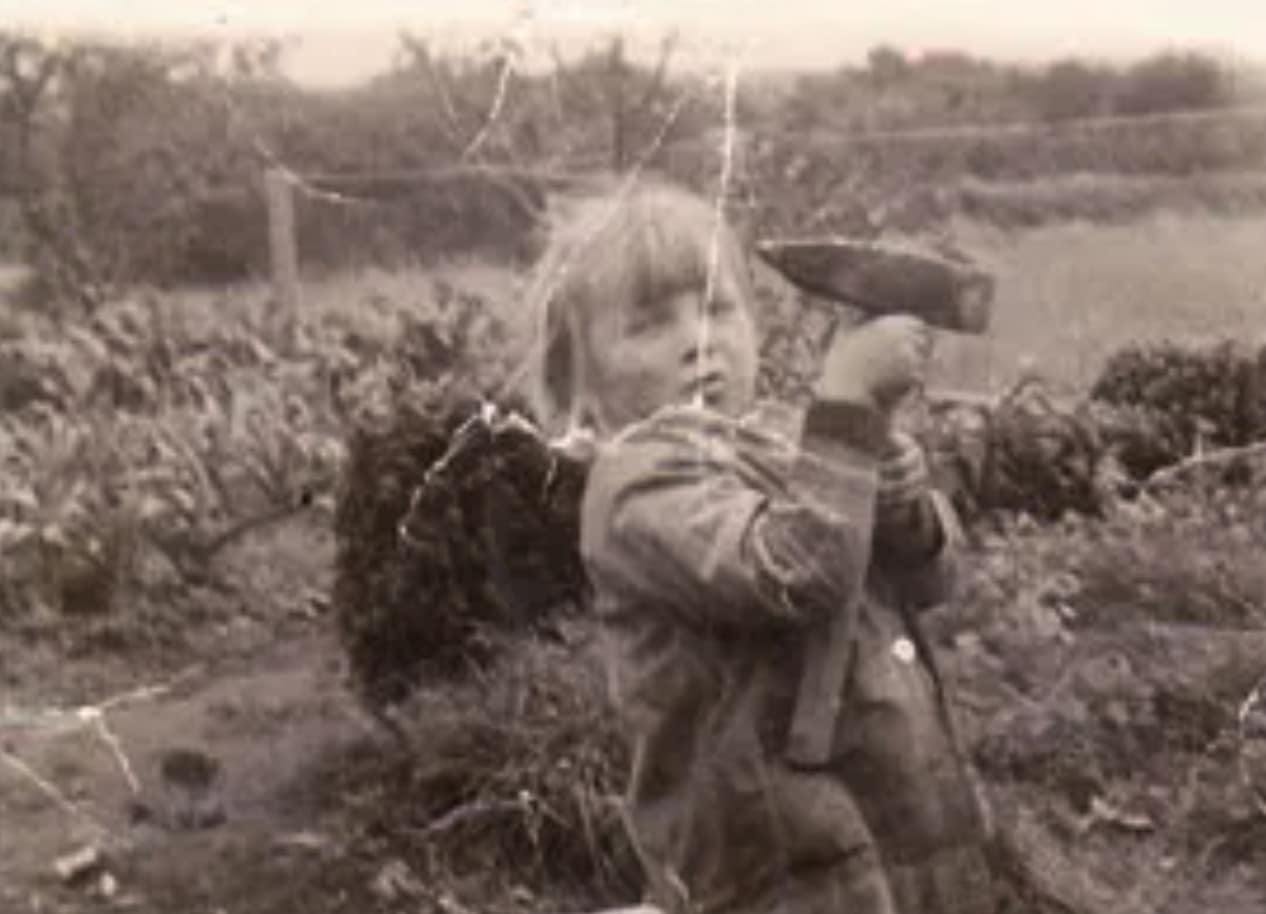 Before image alt
